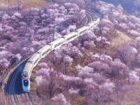 云南2020年鐵路學校就業前景怎么樣